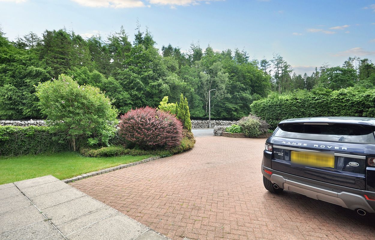 Driveway view 2
